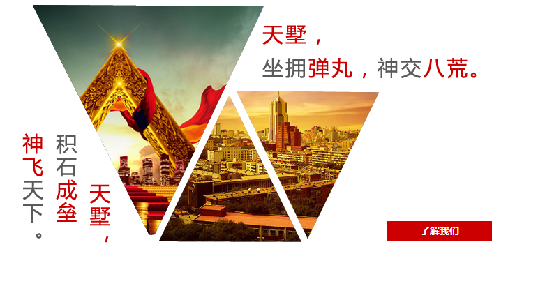 安慶天墅實業